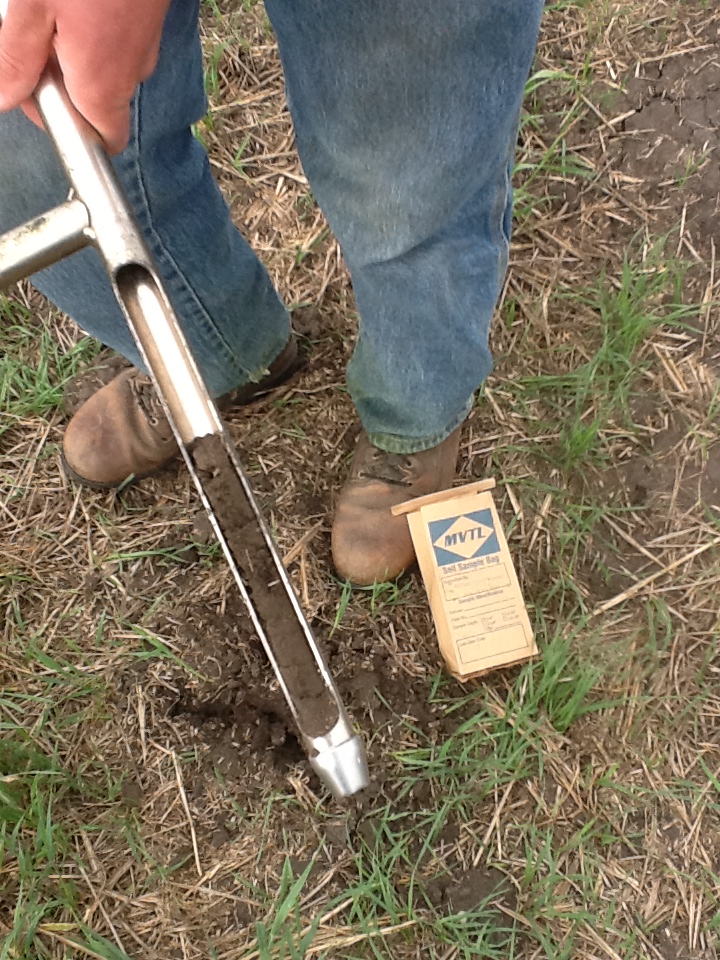 soil sample using a probe